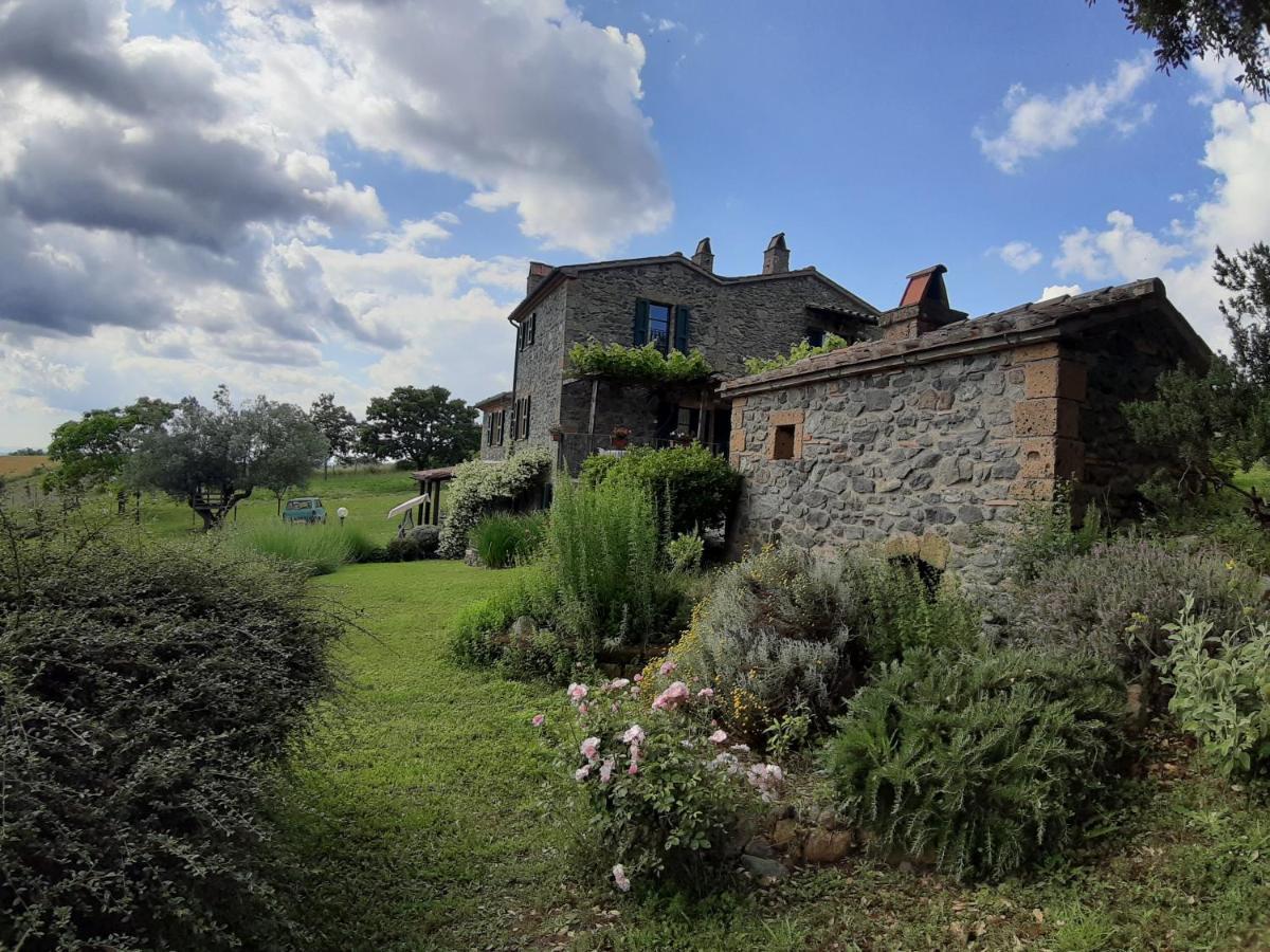 Agriturismo Cantinaccia Di Sopra Pitigliano Exterior foto